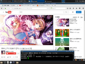 NetBSD上でYouTubeを再生している様子