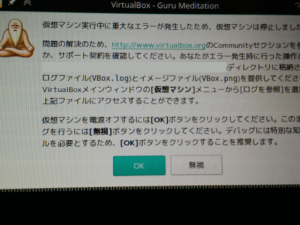 VirtualBoxの重大なエラー画面
